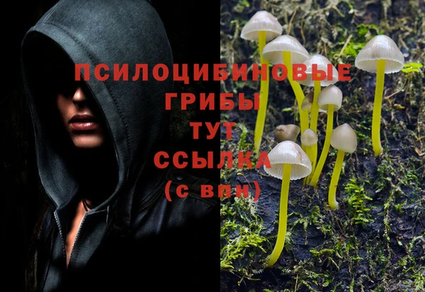 кокаин премиум Арсеньев