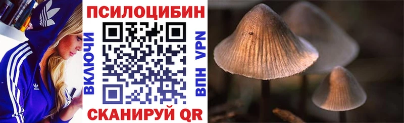 Псилоцибиновые грибы GOLDEN TEACHER  mega зеркало  Чехов  даркнет сайт 